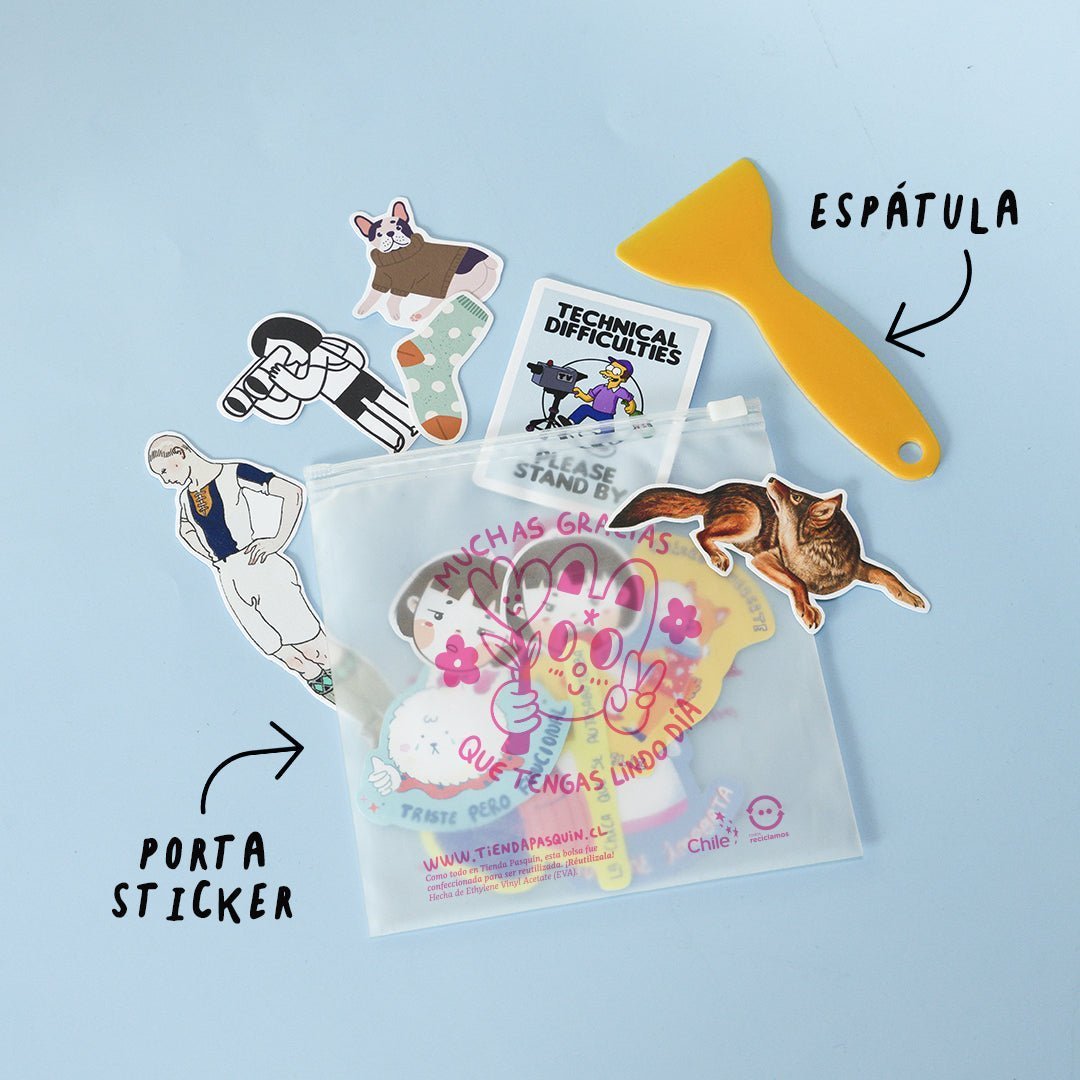 🎁 Assorted Mix Set of Reusable Stickers: Random Designs | High - Quality Print | Water - Resistant (100% off) - Pasquín