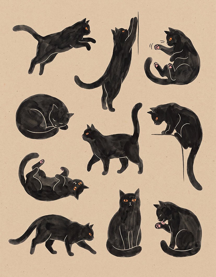 "Cat in Ten Poses" - Reusable Peel-and-Stick Poster - Pasquín