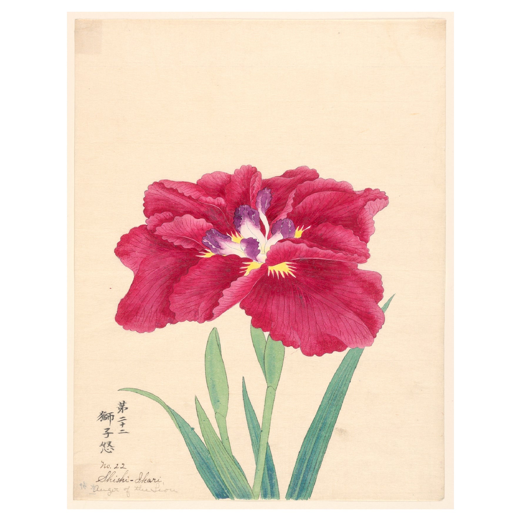 Decorative "Anger of the Lion (Shishi - Ikari) (1910)" Poster | High - Quality Print | Repositionable Adhesive - Pasquín