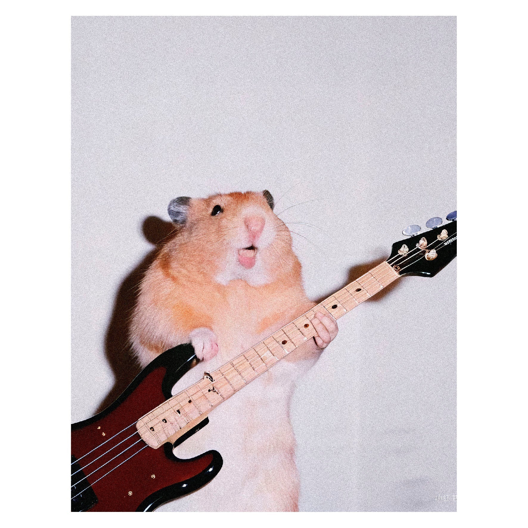 Decorative "Coquette Collection: Rocker Mouse" Poster | High - Quality Print | Repositionable Adhesive - Pasquín