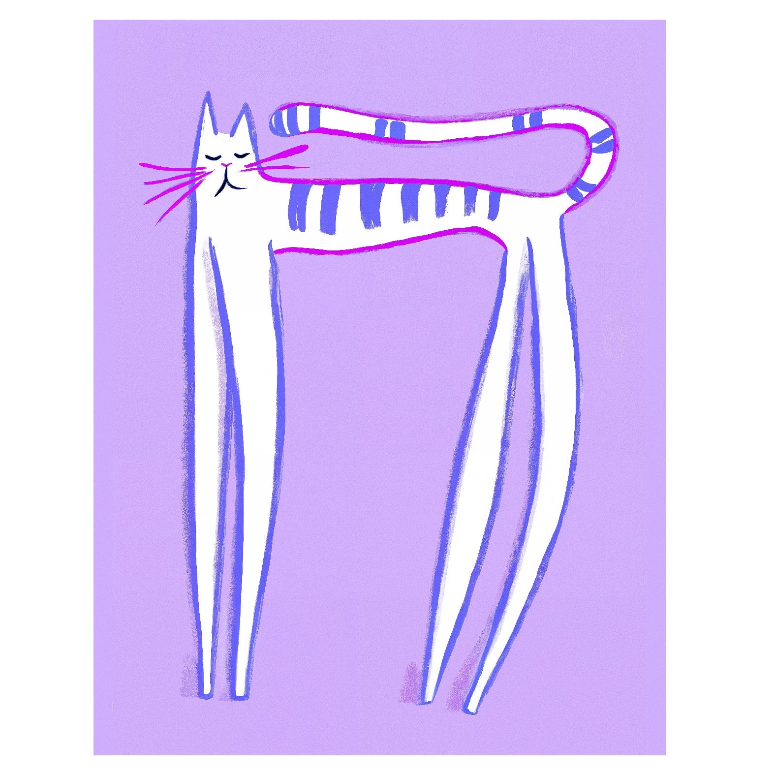 Decorative "Coquette Collection: Striped Kitten" Poster | High - Quality Print | Repositionable Adhesive - Pasquín