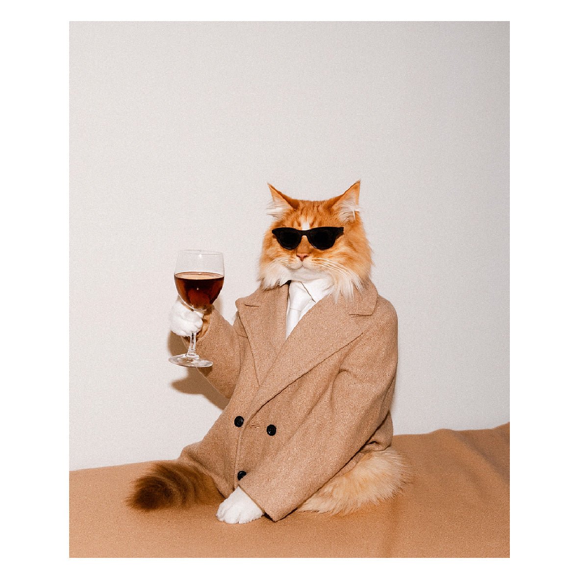 Decorative "Feline Toast" Poster | High - Quality Print | Repositionable Adhesive - Pasquín