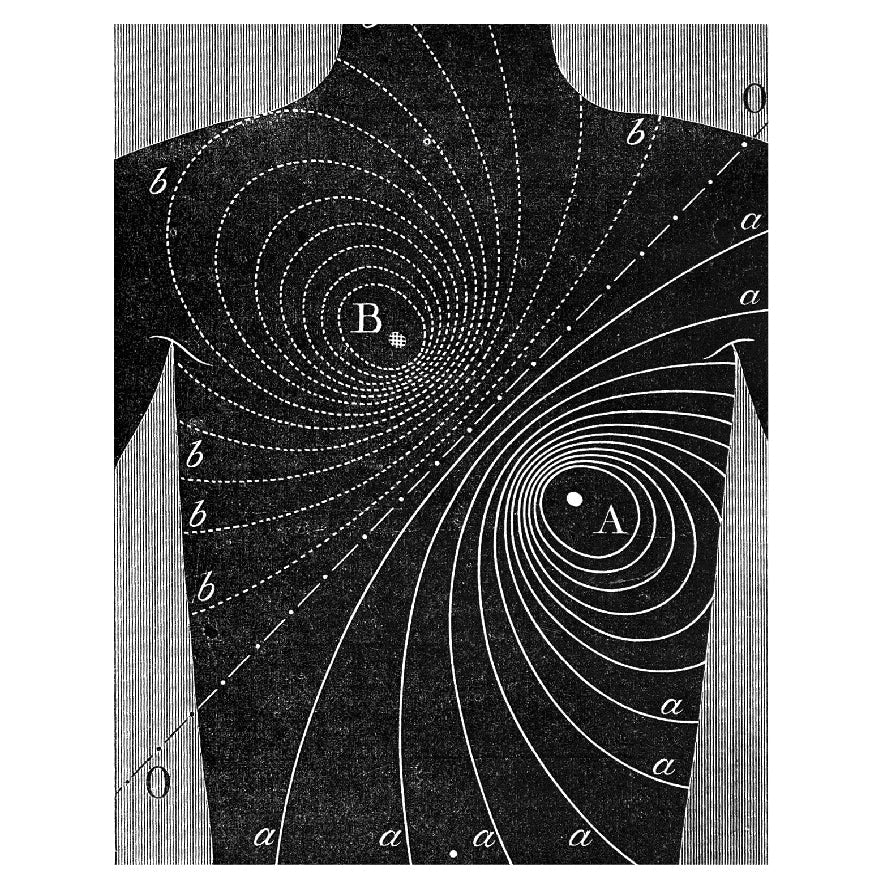 Decorative "Properties of Human Heart" by A.D. Waller Poster | High - Quality Print | Repositionable Adhesive - Pasquín