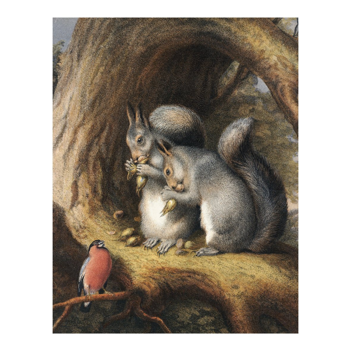 Decorative "Squirrels and a Birds Under the Tree" Poster | High - Quality Print | Repositionable Adhesive - Pasquín