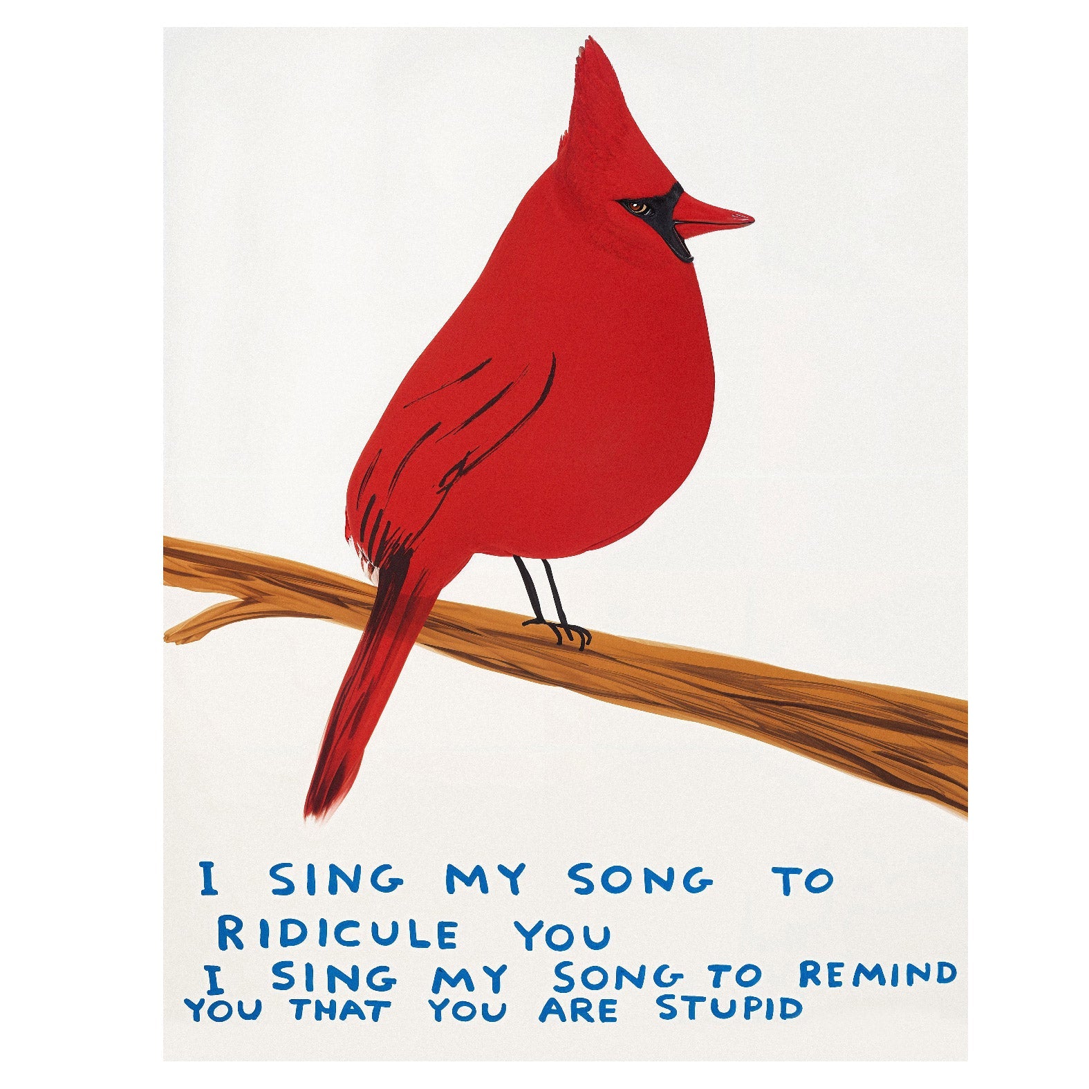 Decorative "Talking Animals: Cardinal Bird" Poster | High - Quality Print | Repositionable Adhesive - Pasquín