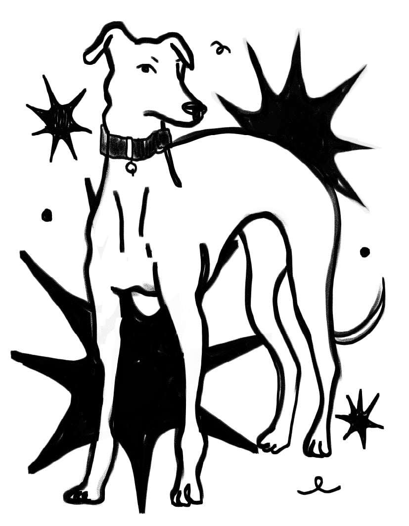 "Galgo Espacial" by Lolillapolilla - Reusable Peel-and-Stick Poster - Pasquín