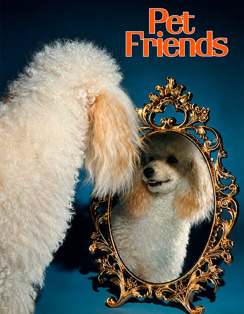 "Poodle Reflex" - Reusable Peel-and-Stick Poster - Pasquín