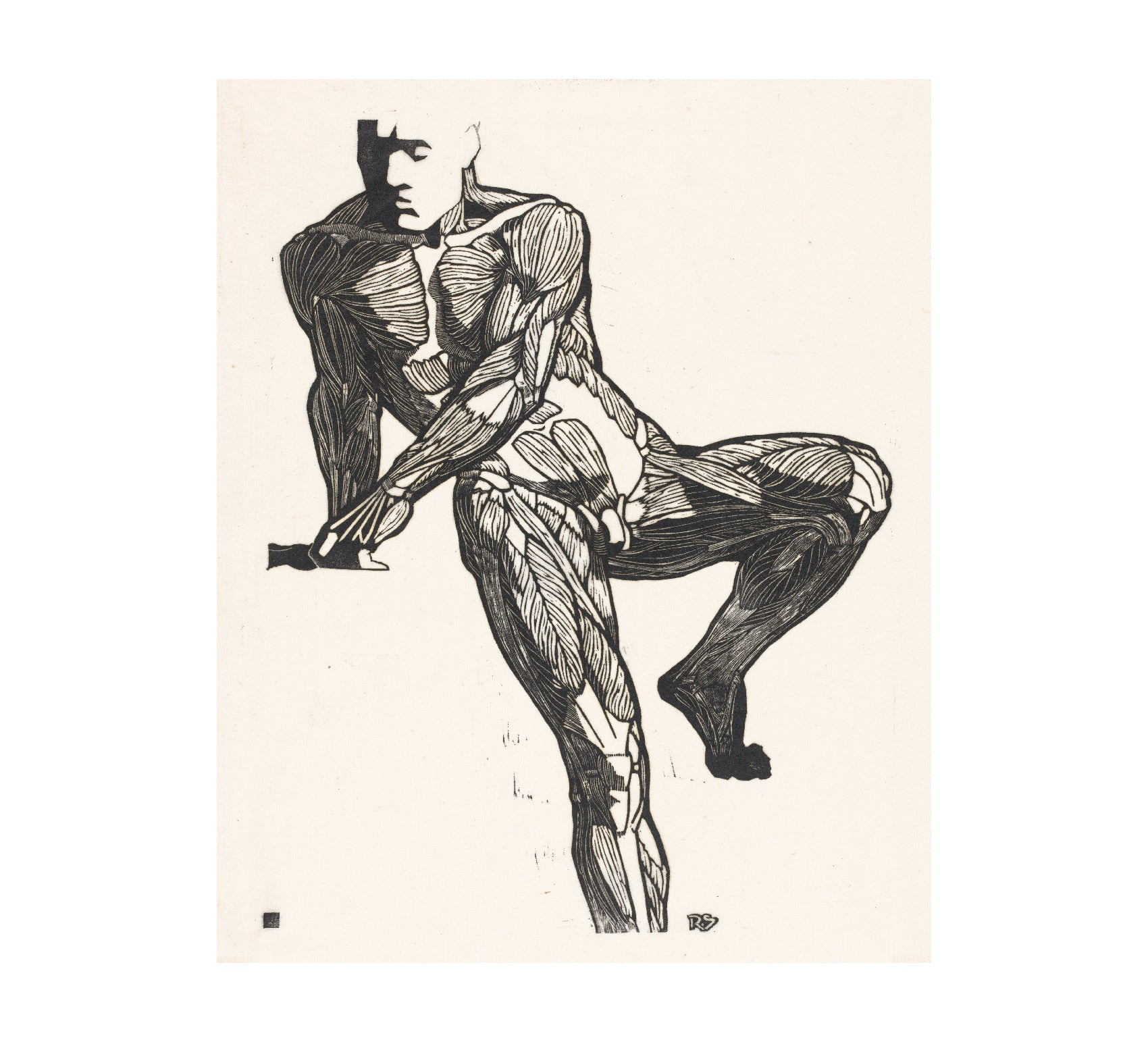 Reusable Decorative Art Poster - Human Body 03 Vintage Book Illustration - Pasquín Store