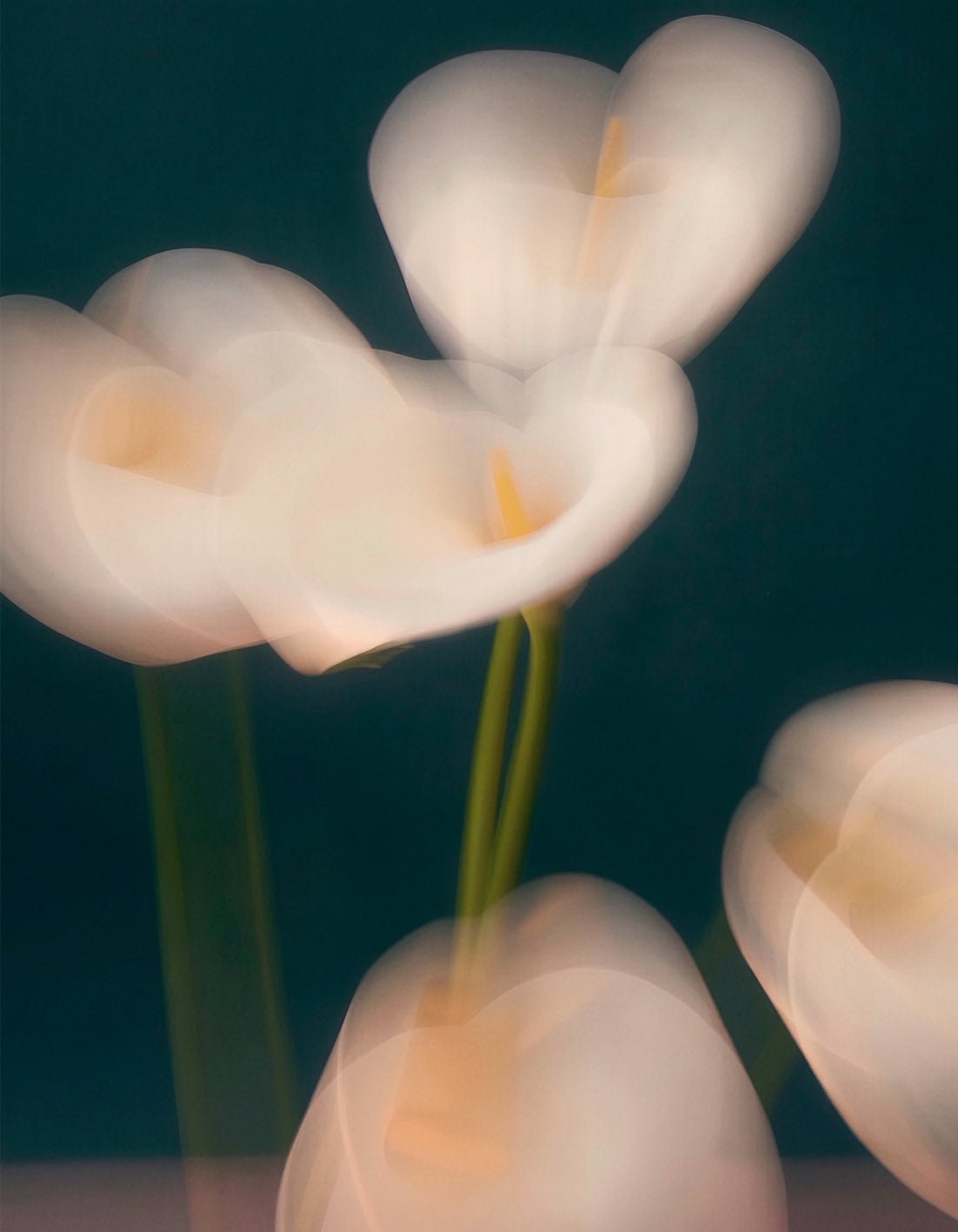 "Calla Lily Dance" - Reusable Peel-and-Stick Poster - Pasquín