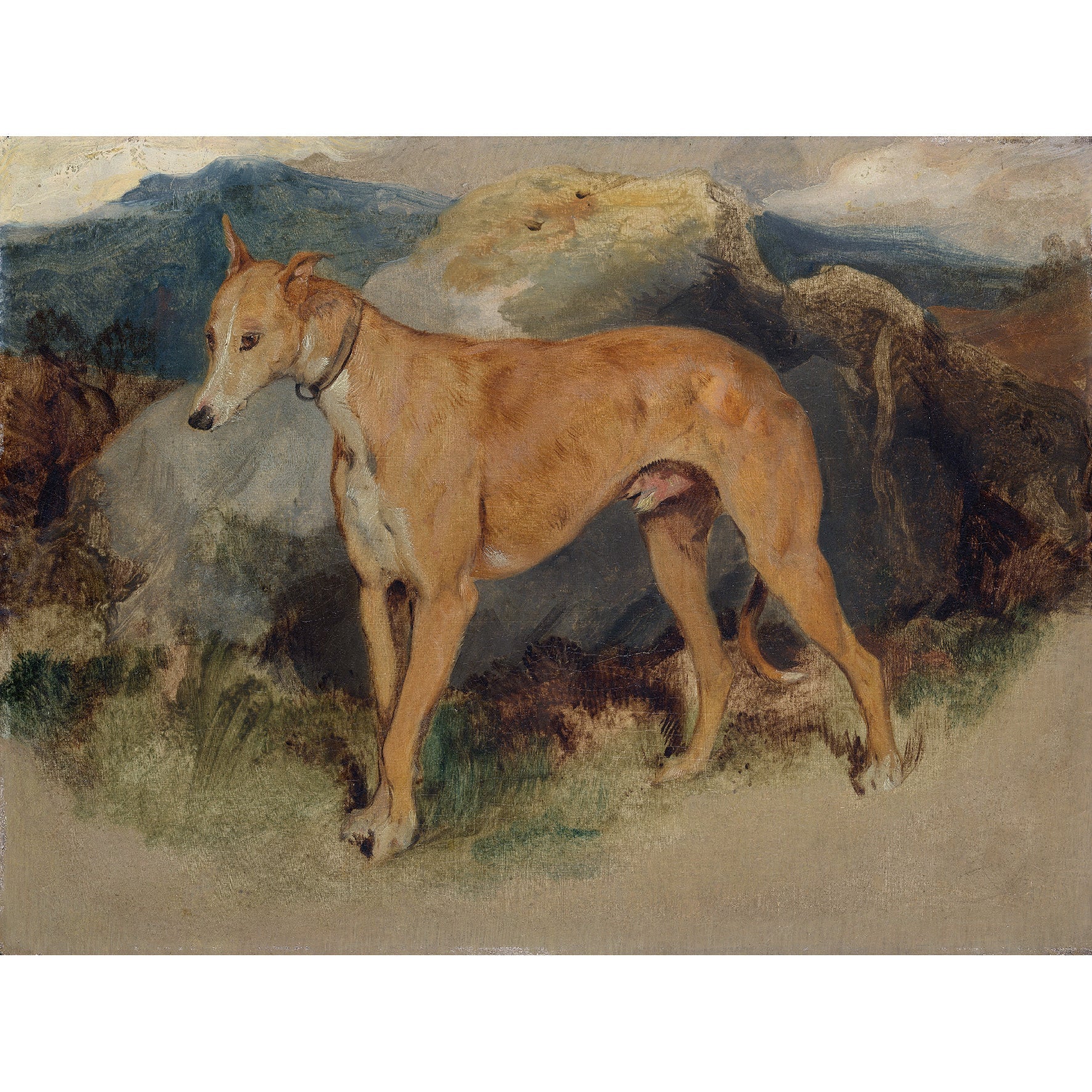 Decorative "A Deerhound" by Edwin Landseer Poster | High - Quality Print | Repositionable Adhesive - Pasquín Store