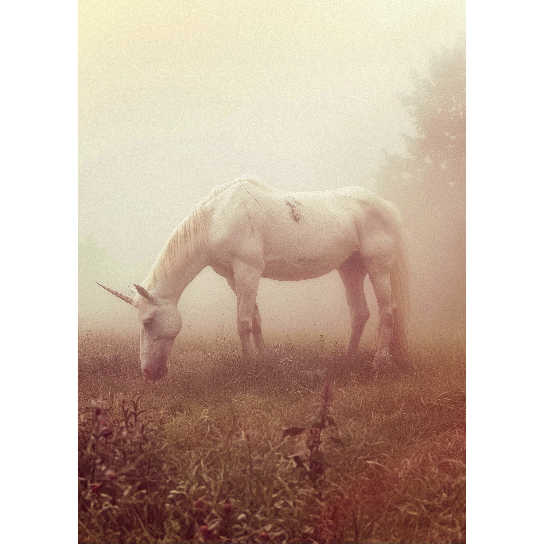 Decorative "Coquette Collection: Unicorn" Posters | High - Quality Print | Repositionable Adhesive - Pasquín Store