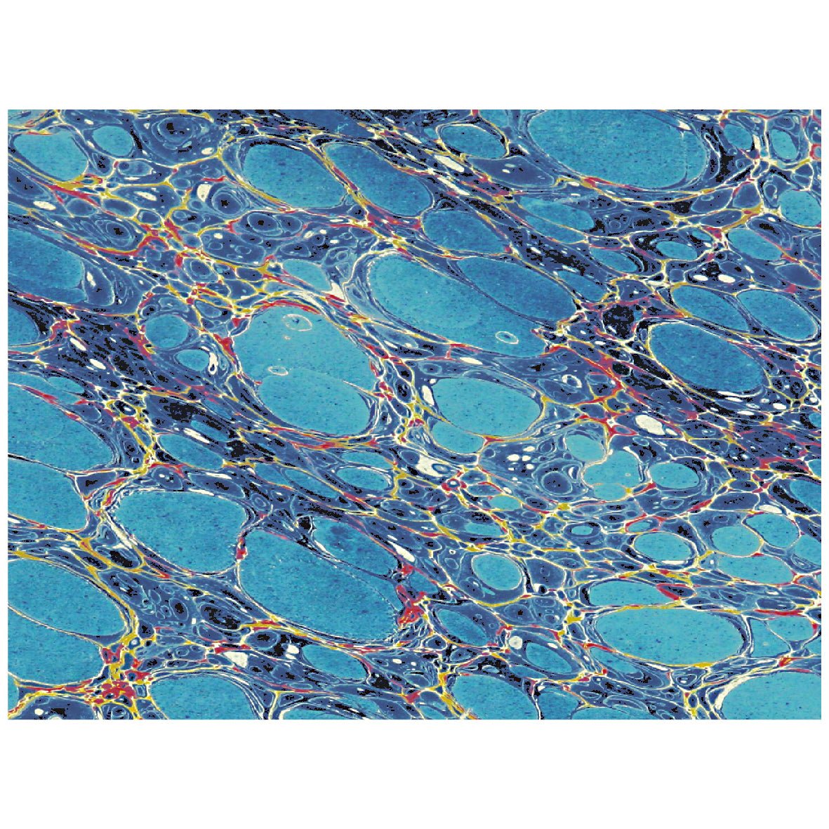 Decorative "Decorative Paper from Country Musings (1838)" Poster | High - Quality Print | Repositionable Adhesive - Pasquín