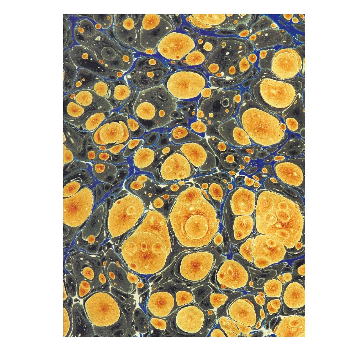 Decorative "Decorative Paper from The Democratiad, a poem, in retaliation, for the Philadelphia Jockey Club (1796)" Poster | High - Quality Print | Repositionable Adhesive - Pasquín