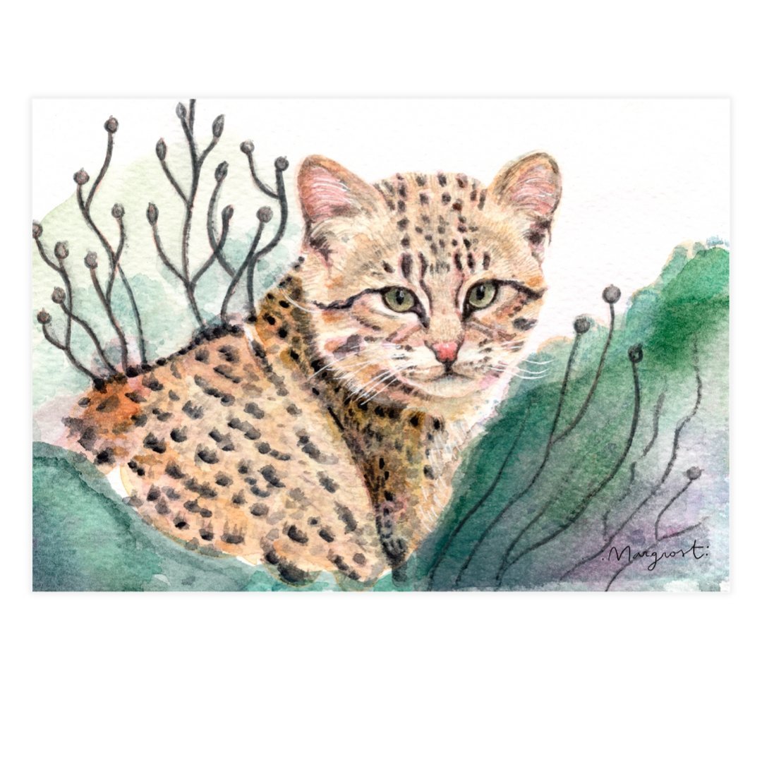 Decorative "Geoffroy Cat" by Margrost Poster | High - Quality Print | Repositionable Adhesive - Pasquín Store