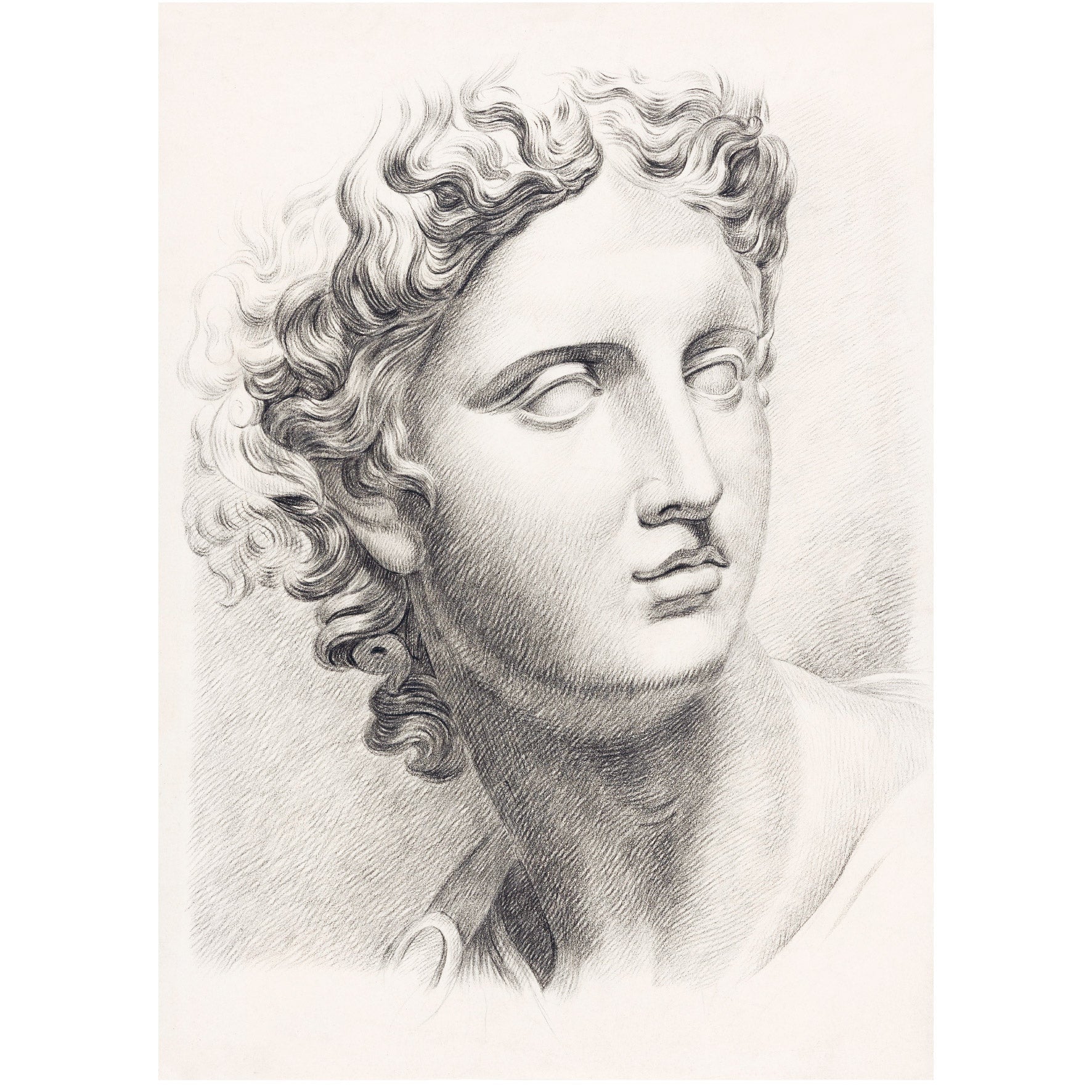 Decorative "Greek Sculpture Study" Poster | High - Quality Print | Repositionable Adhesive - Pasquín