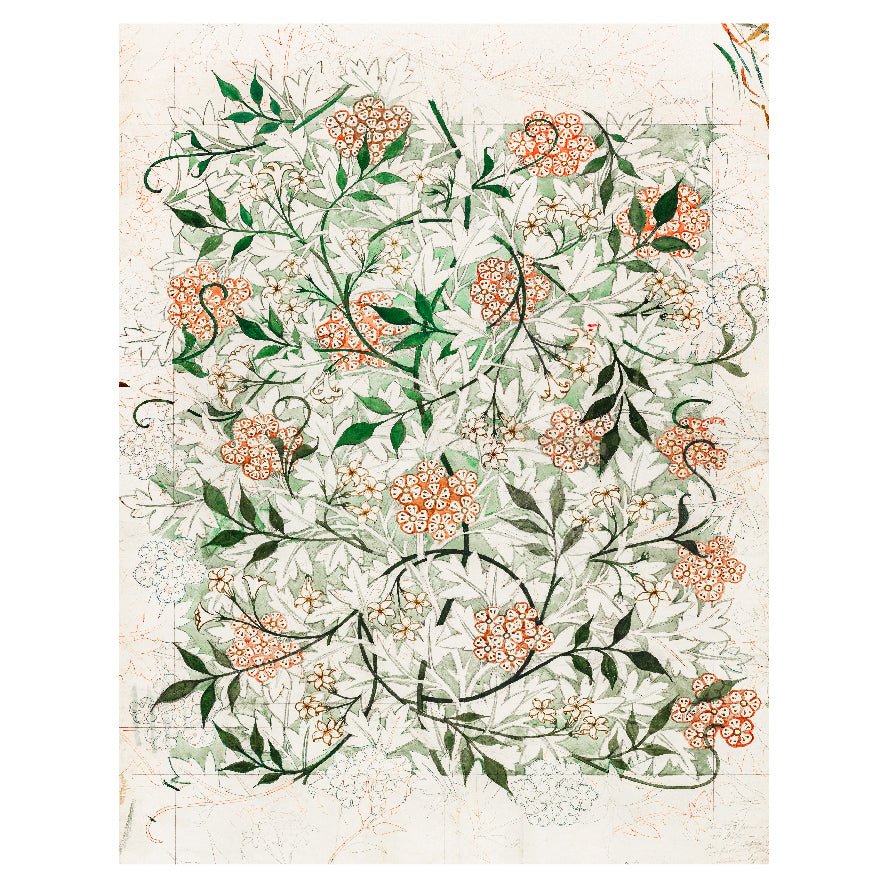 Decorative "Jasmine" by William Morris Poster | High - Quality Print | Repositionable Adhesive - Pasquín