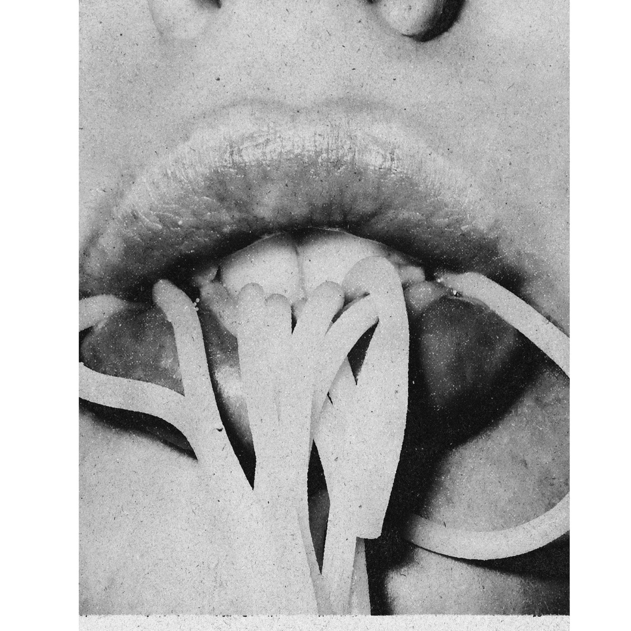 Decorative "Macro Lips" Poster | High - Quality Print | Repositionable Adhesive - Pasquín