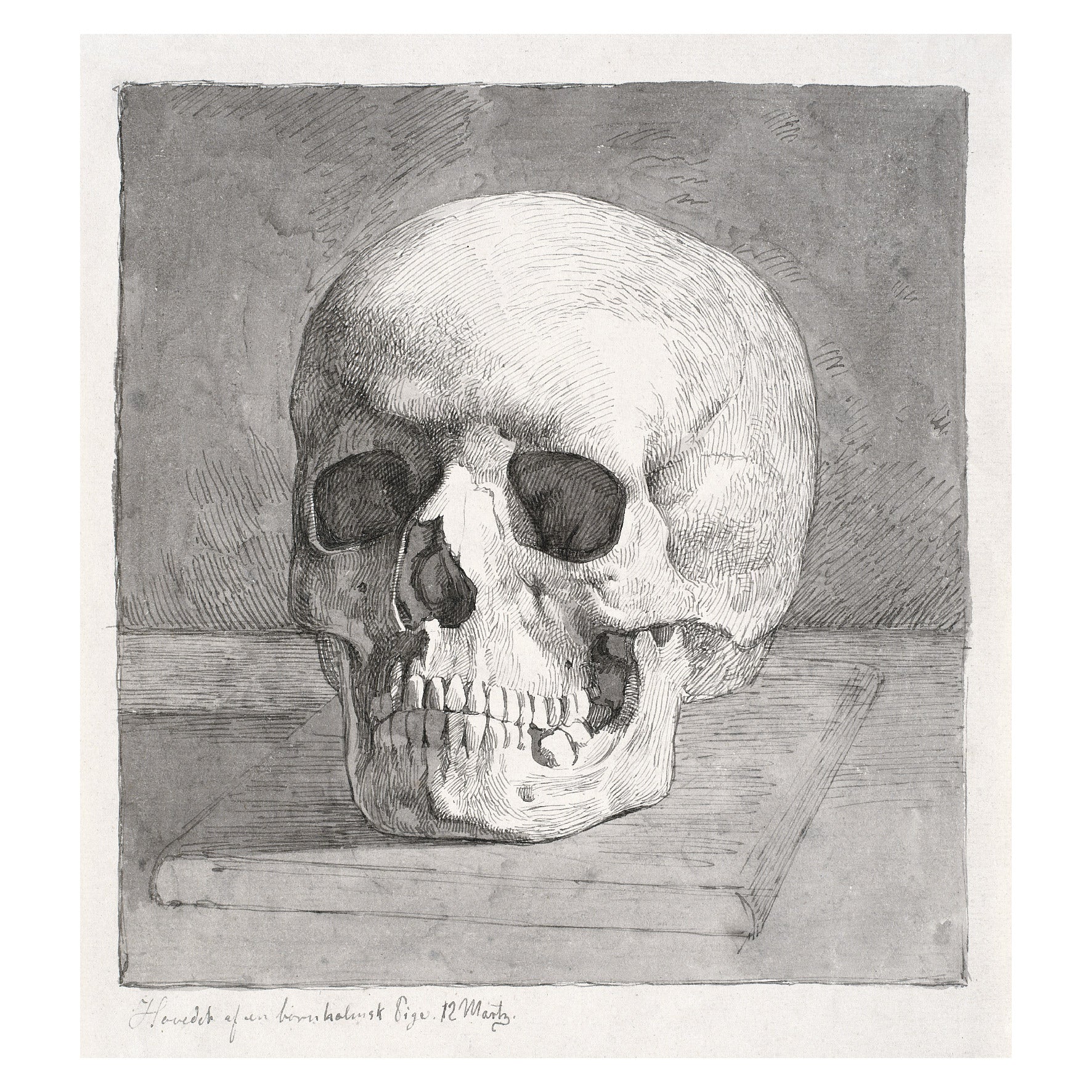 Decorative "Skull, Front View (1839)" by Johan Thomas Lundbye Poster | High - Quality Print | Repositionable Adhesive - Pasquín