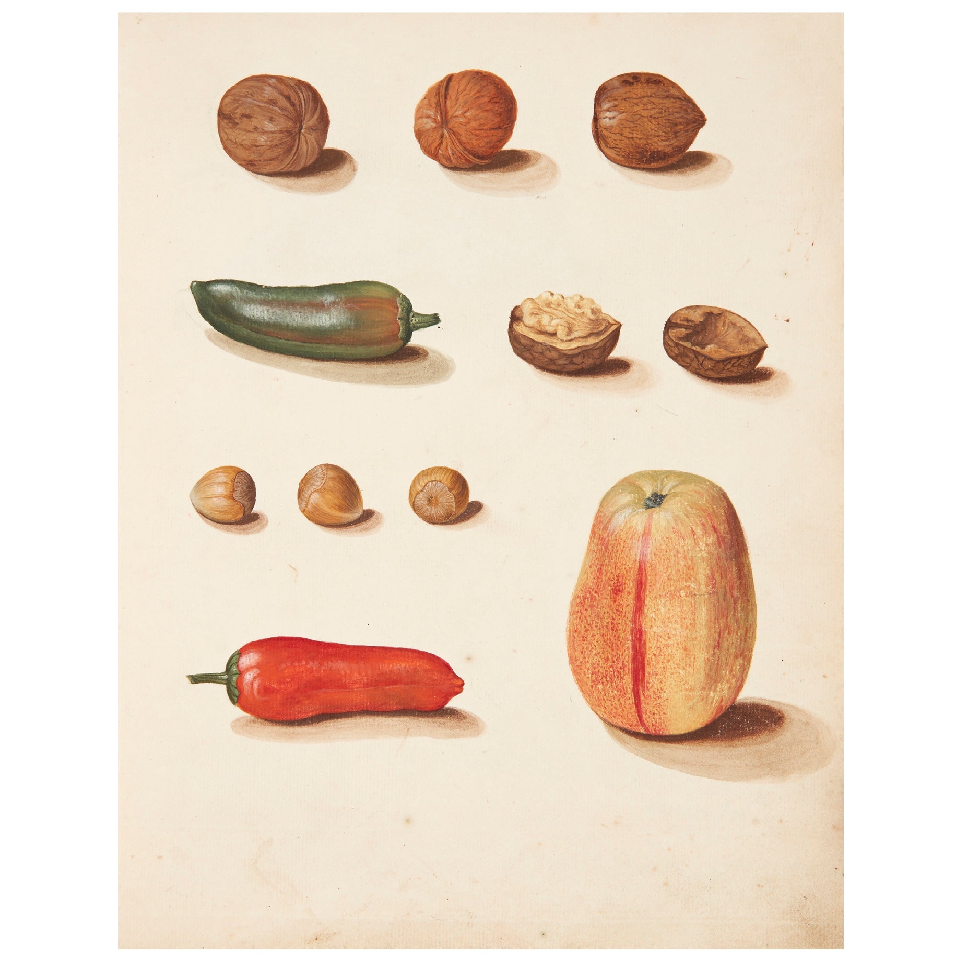 Decorative "Studie af Æble, Nødder og Peberfrugter (1749)" by Johanna Fosie Poster | High - Quality Print | Repositionable Adhesive - Pasquín