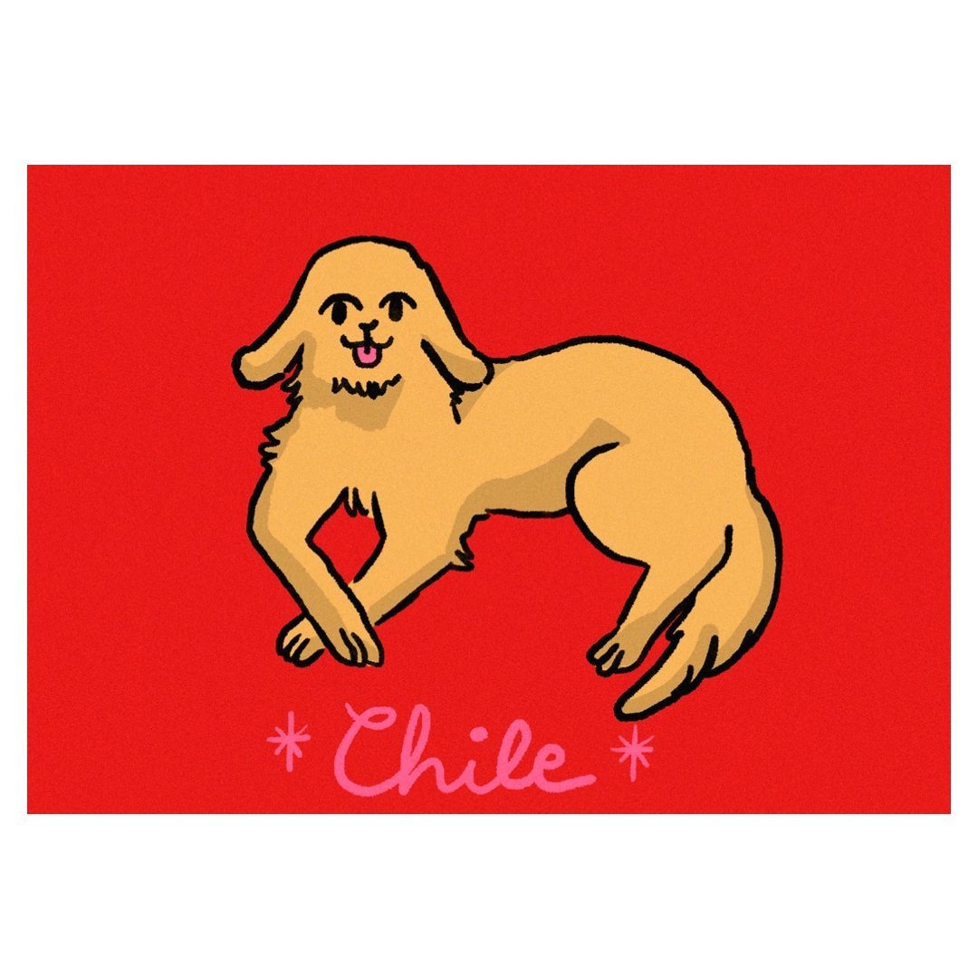 Eco - Friendly "Chilean Flag" by Lolillapolilla Mini Poster | High - Quality Print | Repositionable Adhesive - Pasquín Store