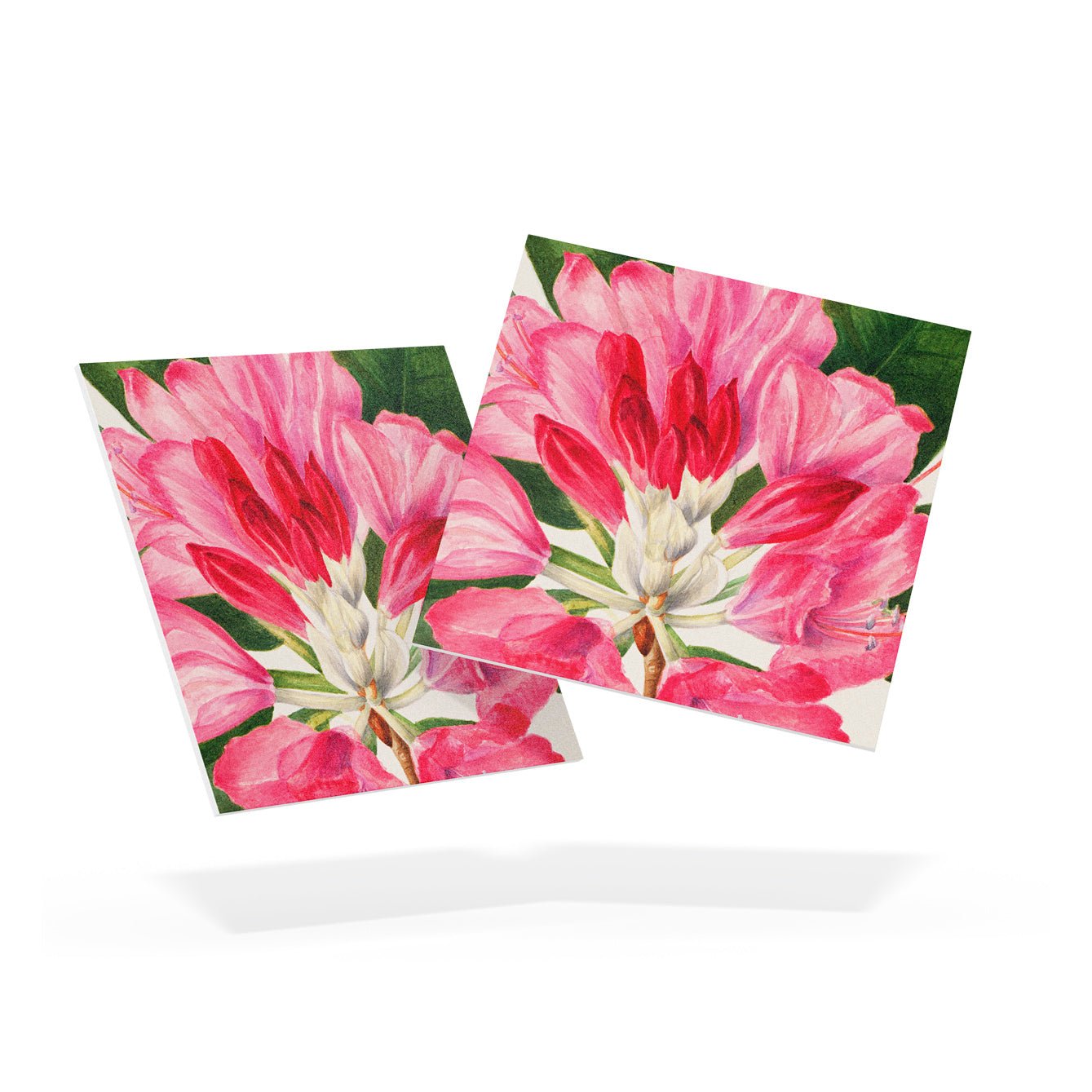 Floral Peel - and - Stick Tiles | Self - Adhesive Pink Floral Design | Limited Edition - Pasquín Store