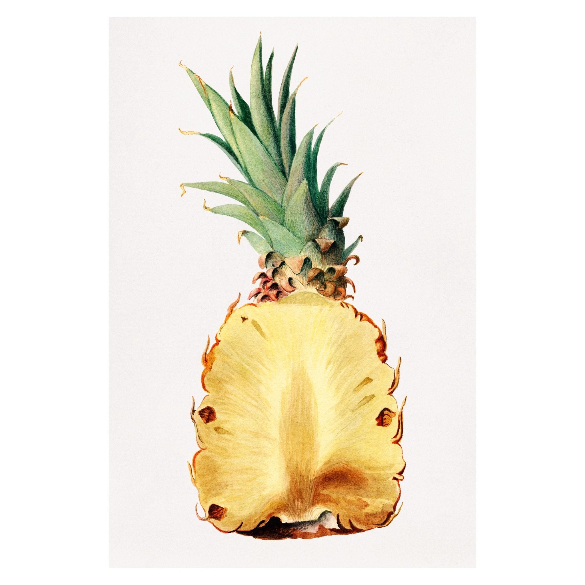 Handmade "Golden Pineapple Slice" Poster | High - Quality Print | Repositionable Adhesive - Pasquín Store