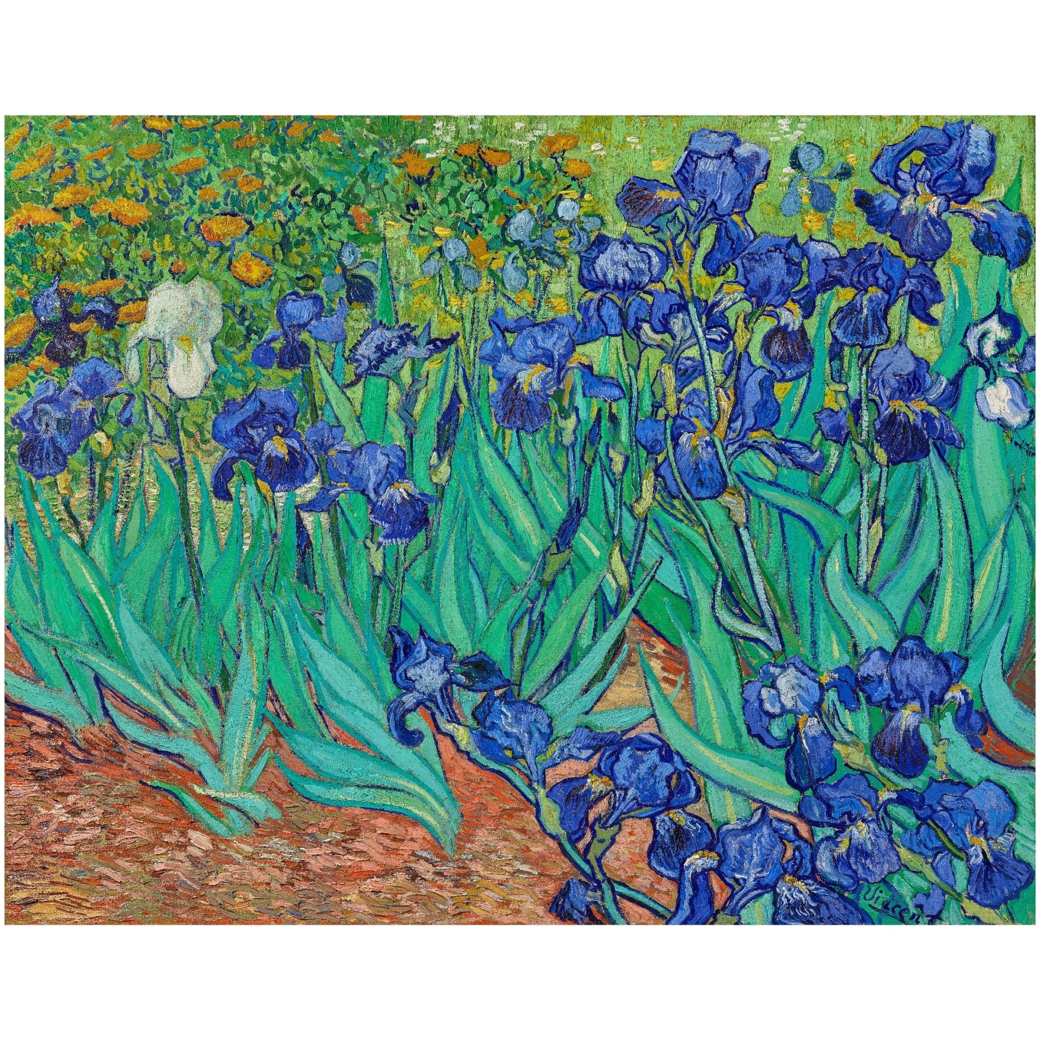 Handmade Irises by Vincent van Gogh Poster | High - Quality Print | Repositionable Adhesive - Pasquín Store