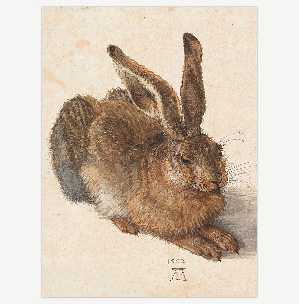 Handmade "Young Hare (1502)" by Albrecht Dürer Poster | High - Quality Print | Repositionable Adhesive - Pasquín Store