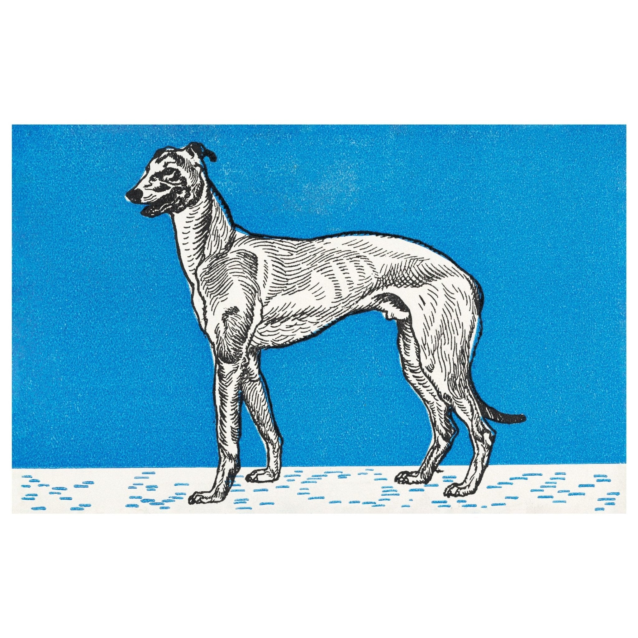 High - Quality Fabric Adhesive Poster - Greyhound 2 by Moriz Jung - Horizontal - Pasquín Store