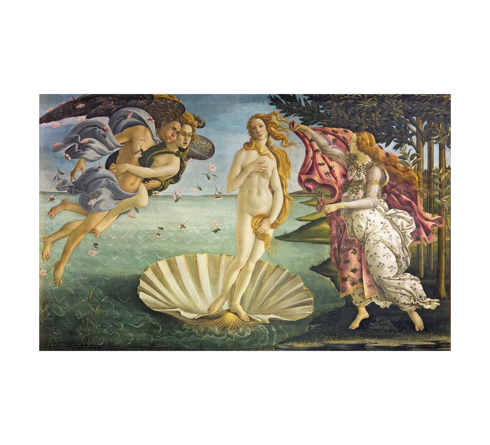 High - Quality Fabric Adhesive Poster - The Birth of Venus Classic Art - Pasquín Store