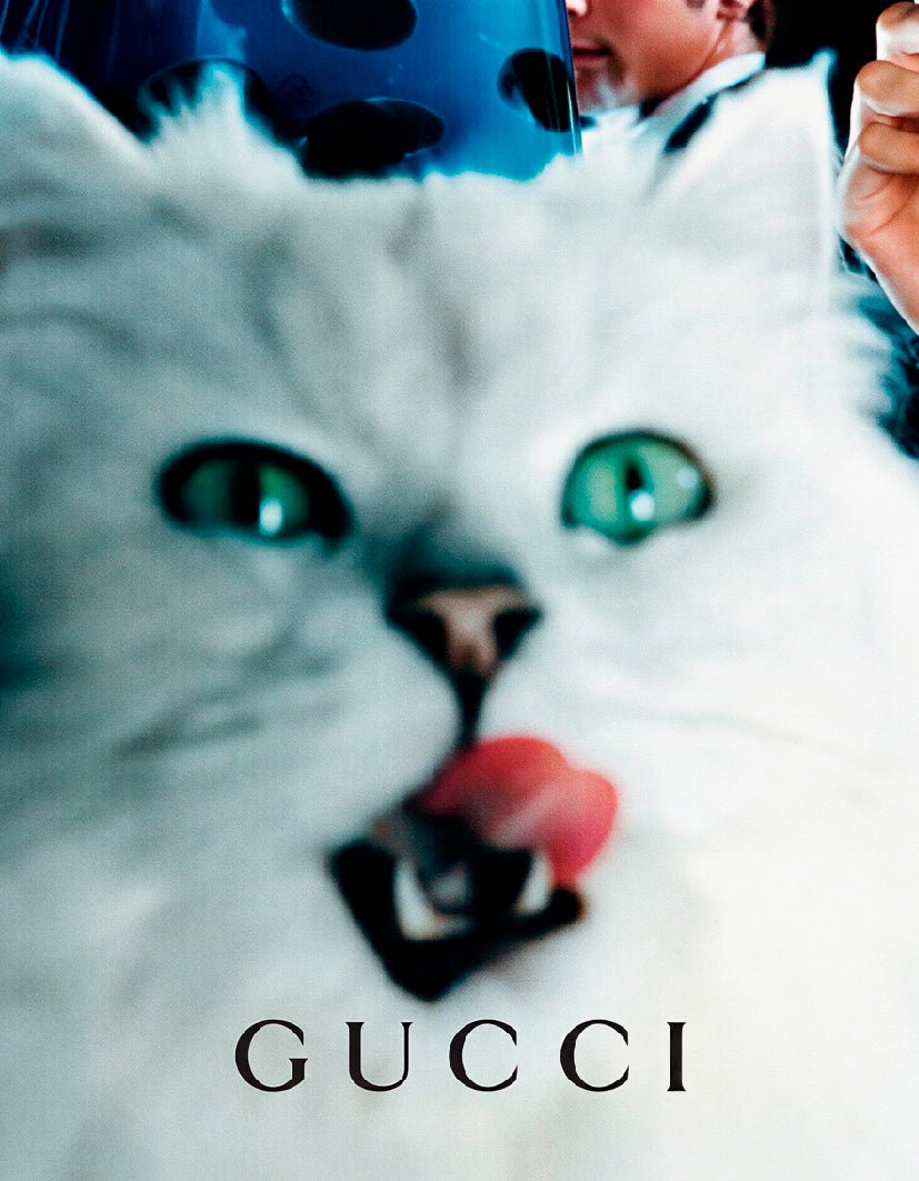 "Model Cat" - Reusable Peel-and-Stick Poster - Pasquín