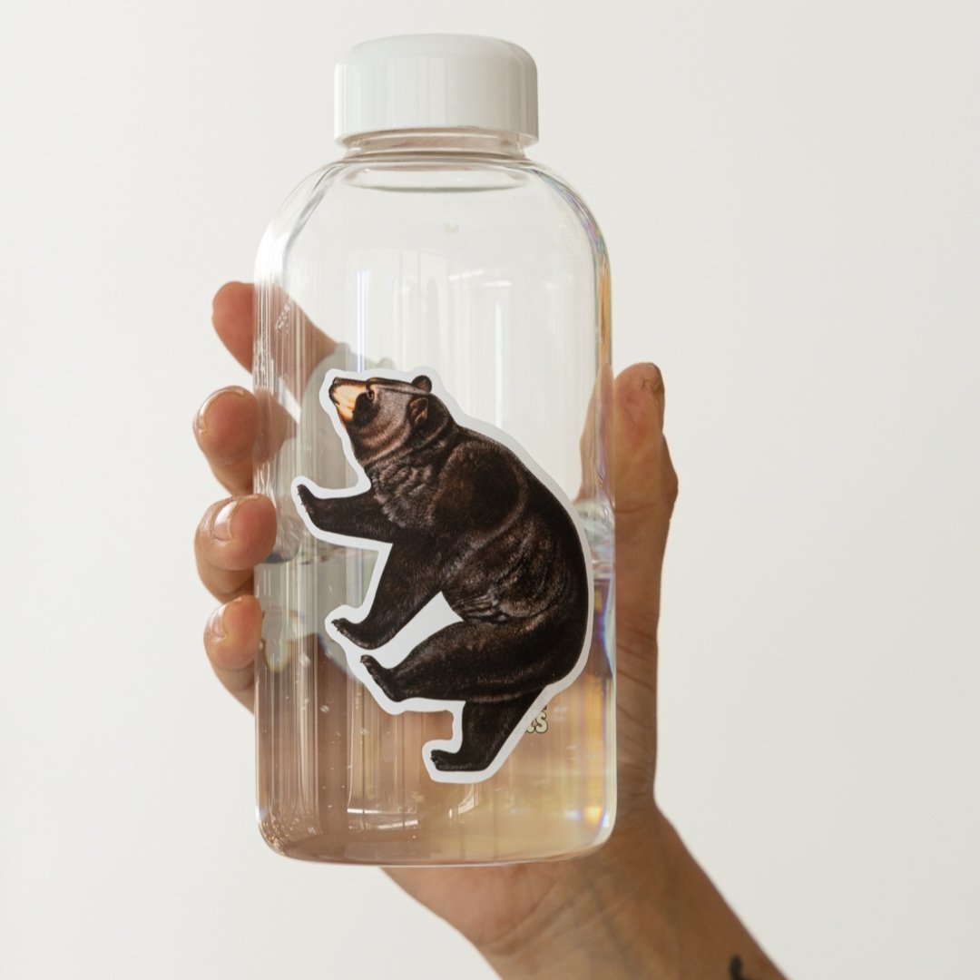 Repositionable Sticker: Vintage Bear | High - Quality Print | Water - Resistant - Pasquín Store