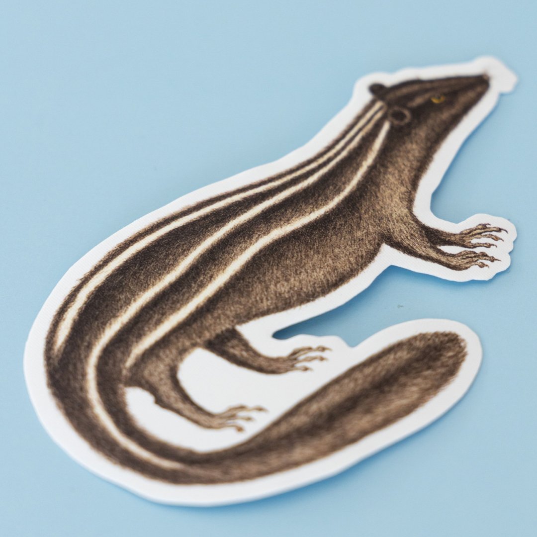 Repositionable Sticker: Vintage Mustelid | High - Quality Print | Water - Resistant - Pasquín Store