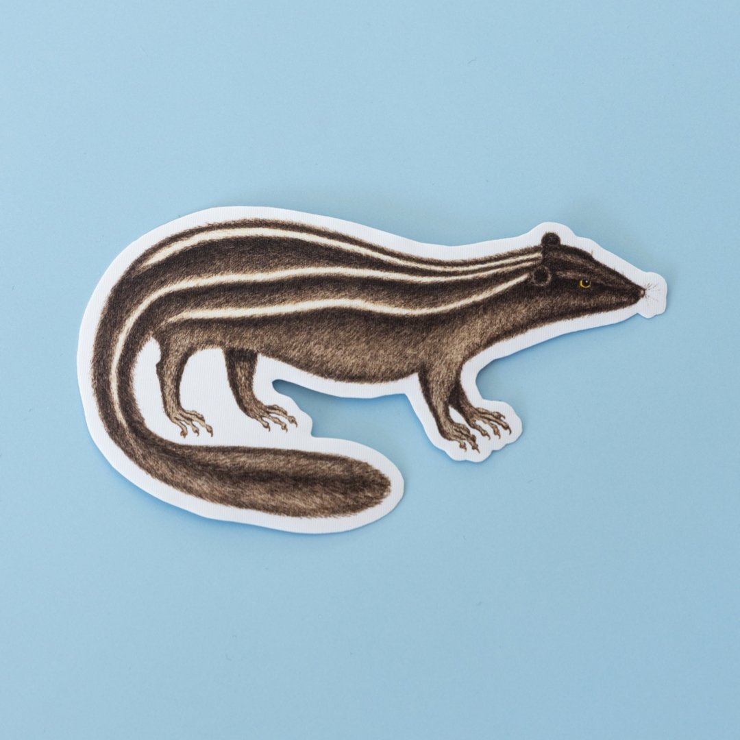 Repositionable Sticker: Vintage Mustelid | High - Quality Print | Water - Resistant - Pasquín Store