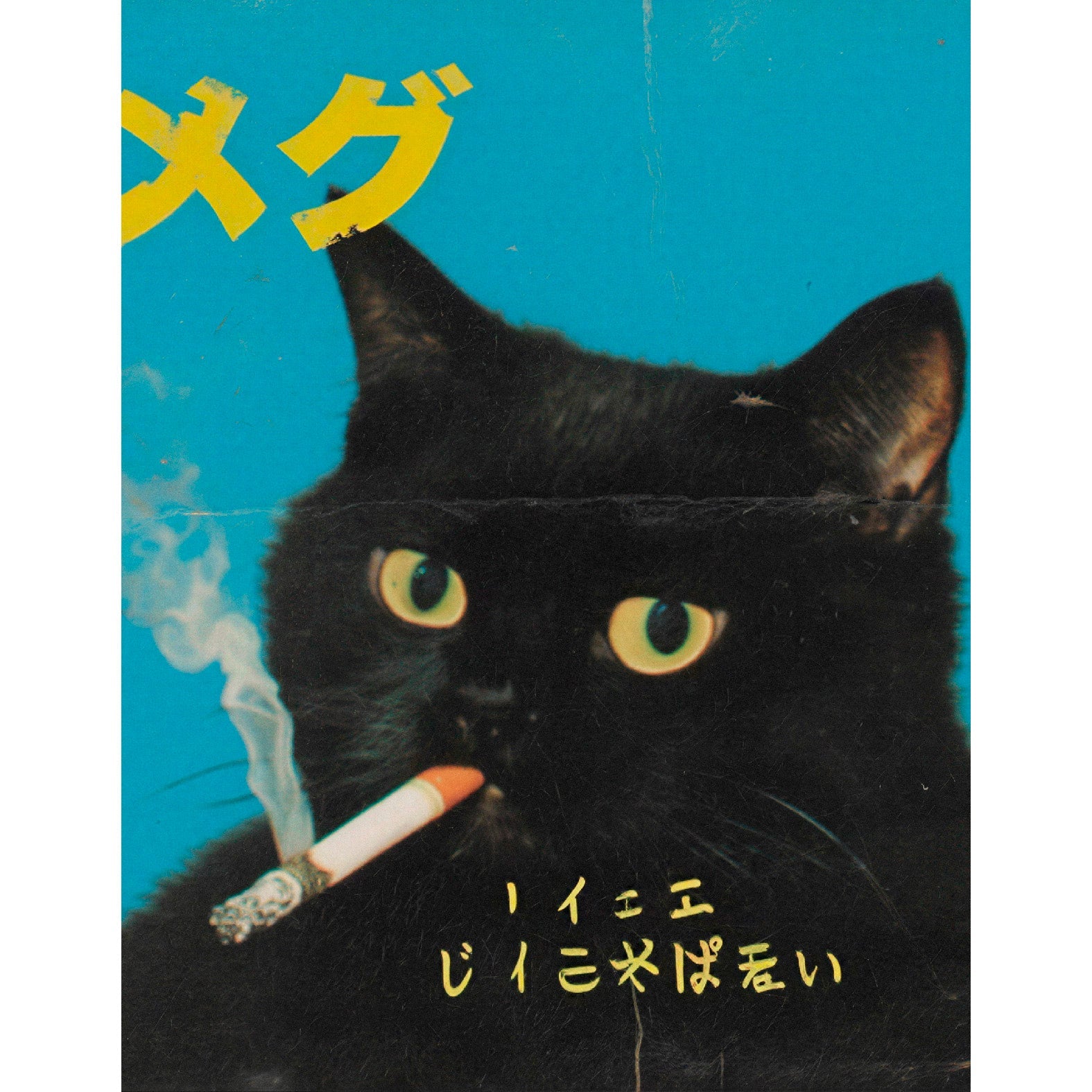 “Smoking Black Cat” Reusable Peel - and - Stick Poster - Pasquín