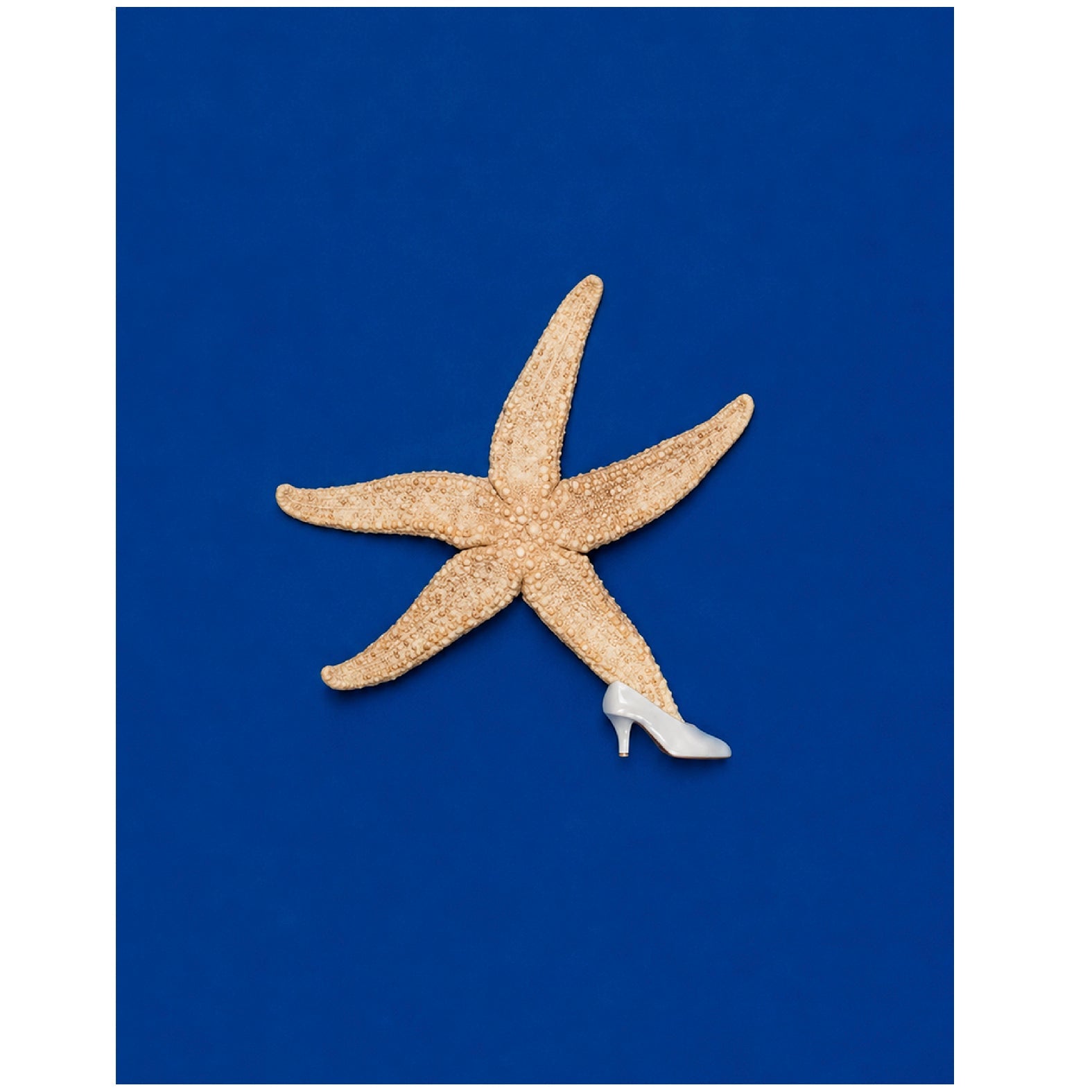 "Star Dancer" by Marcel Mariën - Reusable Peel-and-Stick Poster - Pasquín