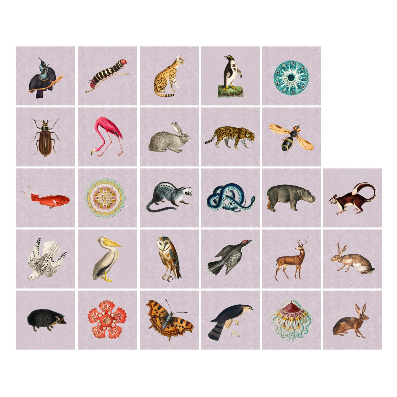 Tile Pasquín 16 Vintage Animals - Peel - and - Stick Adhesive Tiles - Pasquín Store