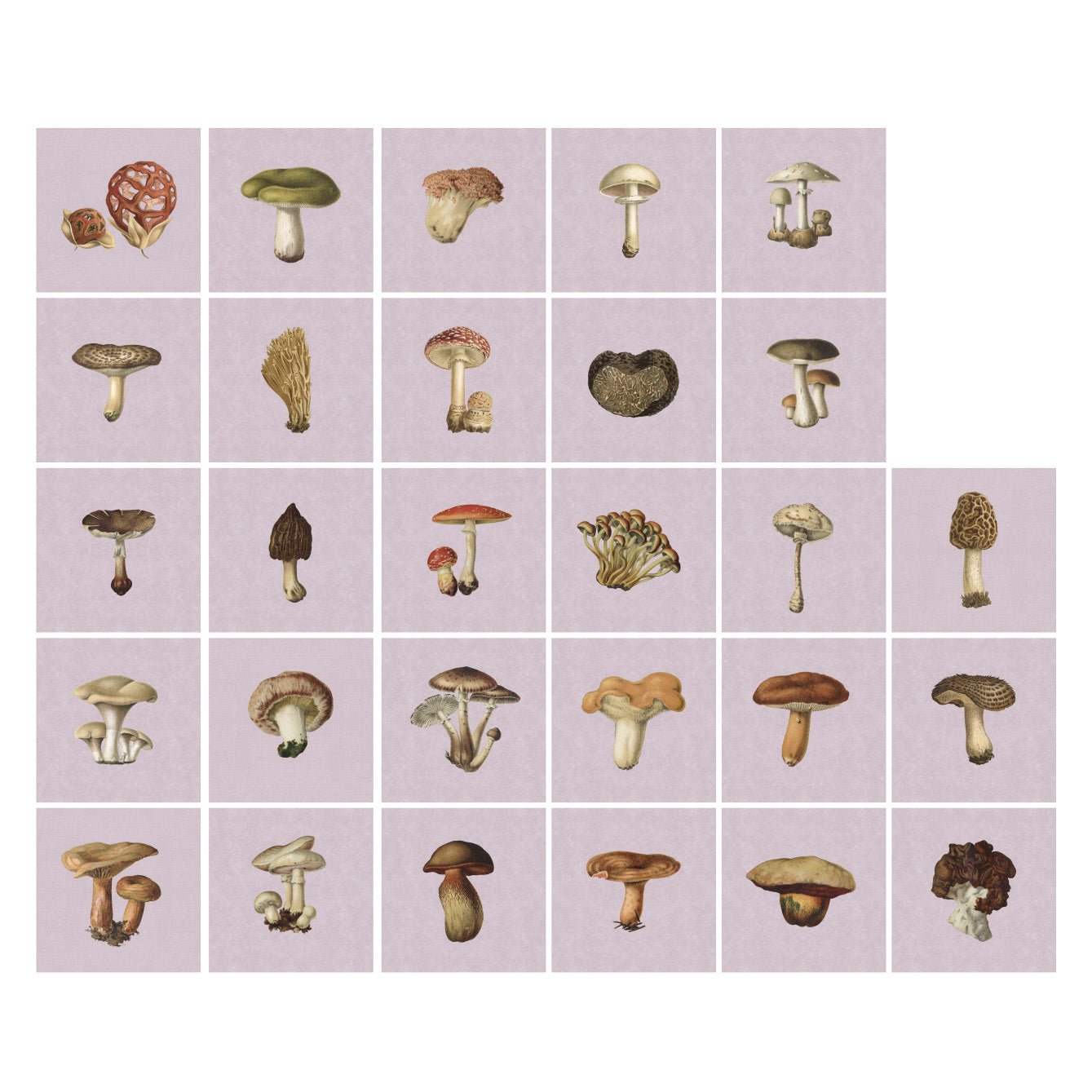 Tile Pasquín 18: Marvelous Mushrooms - Peel - and - Stick Tiles - Pasquín Store