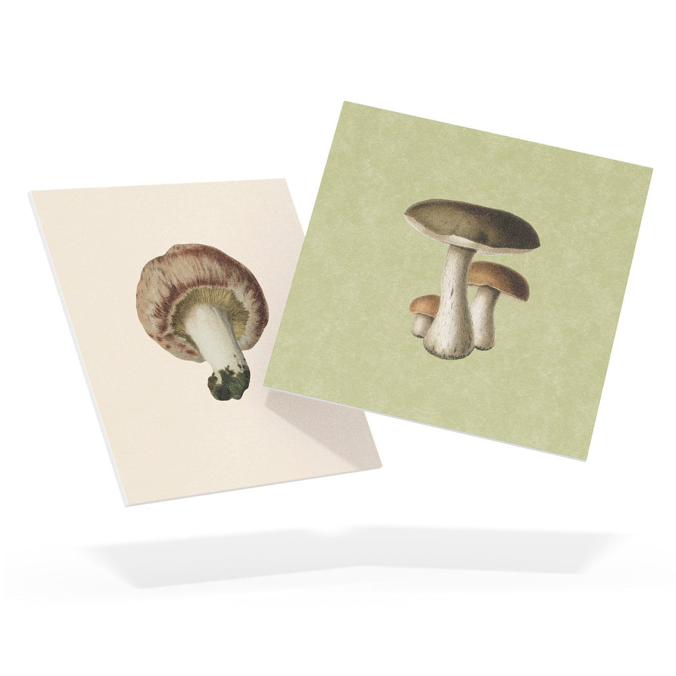 Tile Pasquín 18: Marvelous Mushrooms - Peel - and - Stick Tiles - Pasquín Store