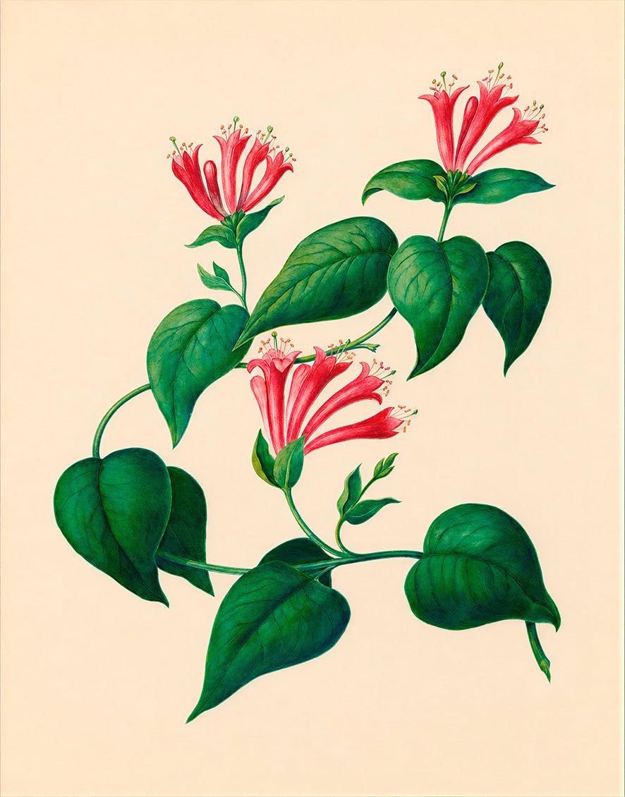 "Tropical Flowers (1830)" by Charles Empson - Reusable Peel-and-Stick Poster - Pasquín