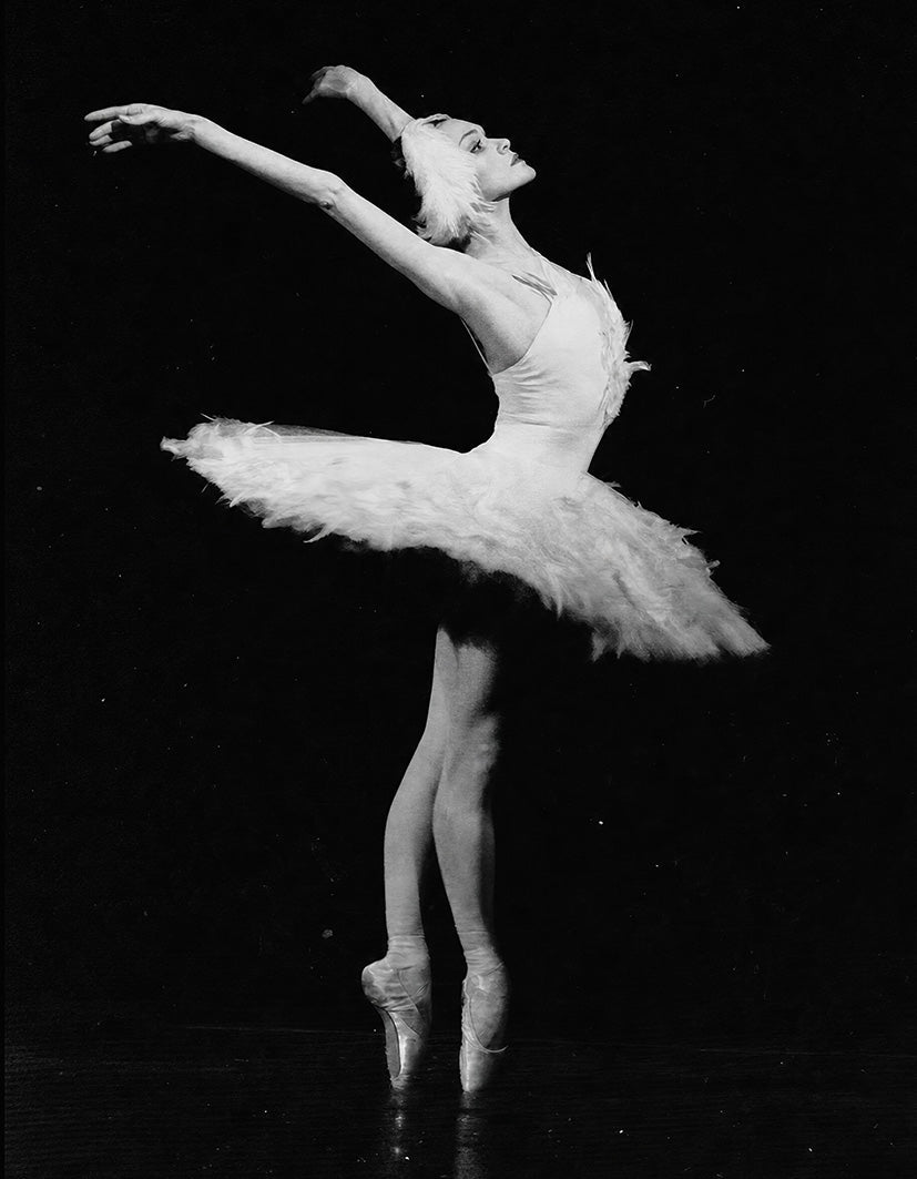 “White Swan" - Reusable Peel-and-Stick Poster - Pasquín